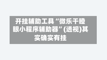开挂辅助工具“微乐干瞪眼小程序辅助器”(透视)其实确实有挂-第2张图片