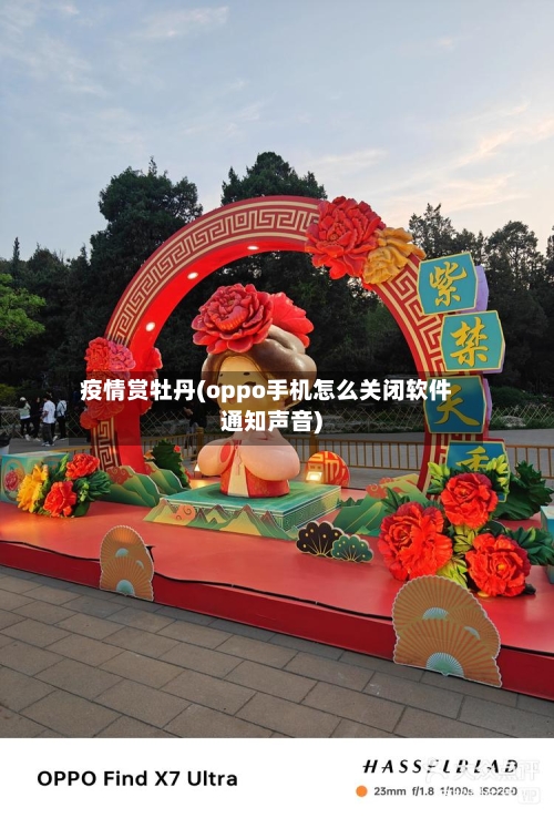 疫情赏牡丹(oppo手机怎么关闭软件通知声音)-第2张图片