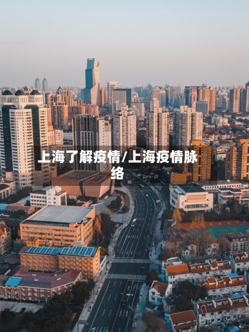 上海了解疫情/上海疫情脉络-第3张图片