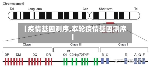 【疫情基因测序,本轮疫情基因测序】