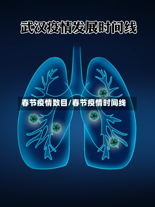 春节疫情数目/春节疫情时间线-第2张图片