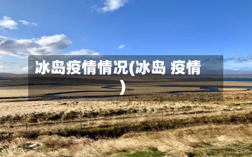 冰岛疫情情况(冰岛 疫情)