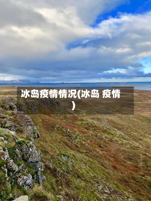 冰岛疫情情况(冰岛 疫情)-第2张图片