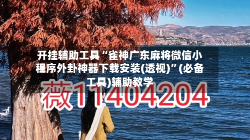 开挂辅助工具“雀神广东麻将微信小程序外卦神器下载安装(透视)”(必备工具)辅助教学-第3张图片