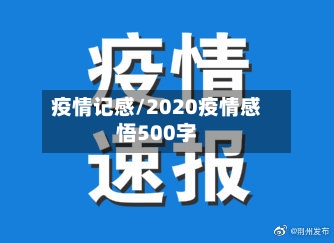 疫情记感/2020疫情感悟500字