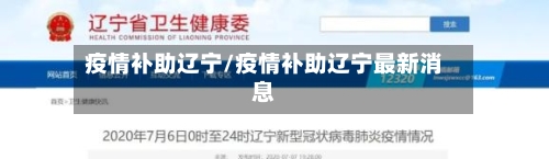 疫情补助辽宁/疫情补助辽宁最新消息-第2张图片