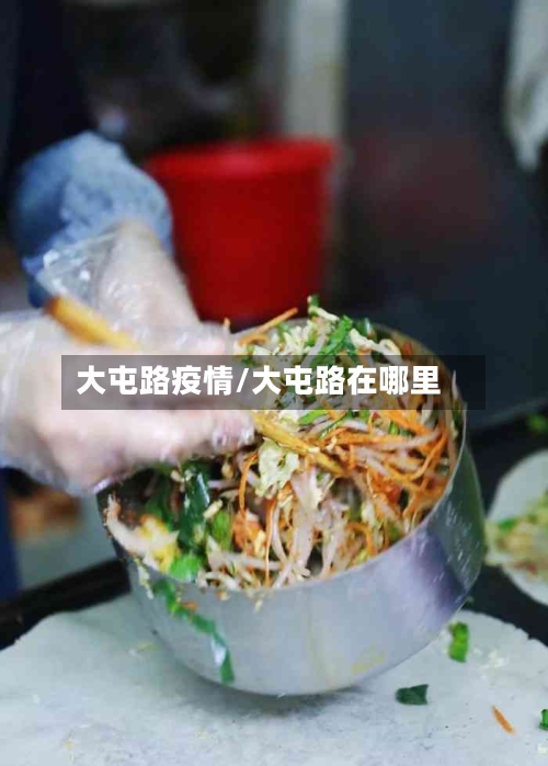 大屯路疫情/大屯路在哪里