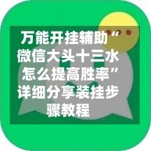 万能开挂辅助“微信大头十三水怎么提高胜率”详细分享装挂步骤教程