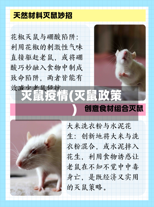 灭鼠疫情(灭鼠政策)