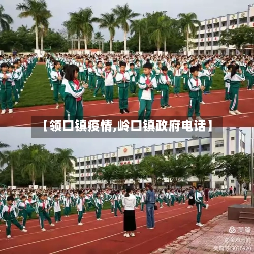 【领口镇疫情,岭口镇政府电话】