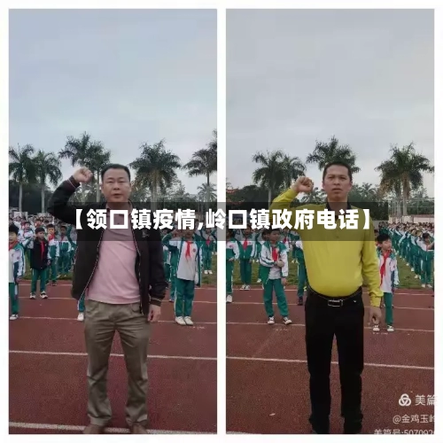 【领口镇疫情,岭口镇政府电话】-第3张图片