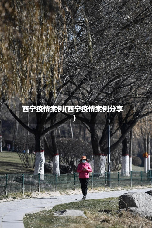 西宁疫情案例(西宁疫情案例分享)-第3张图片