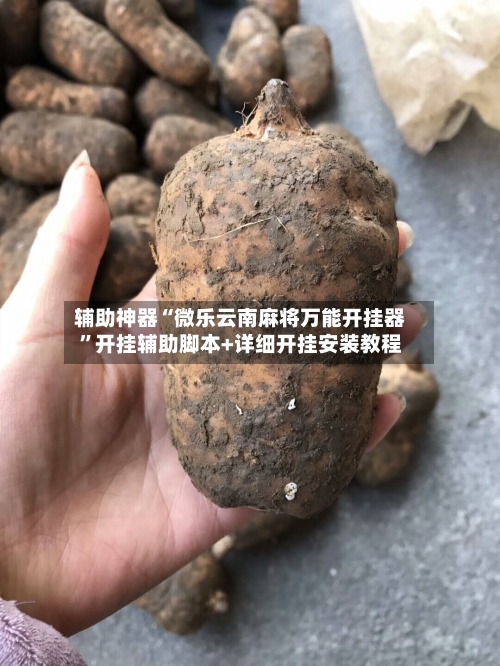 辅助神器“微乐云南麻将万能开挂器”开挂辅助脚本+详细开挂安装教程