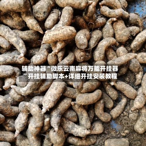 辅助神器“微乐云南麻将万能开挂器”开挂辅助脚本+详细开挂安装教程-第3张图片