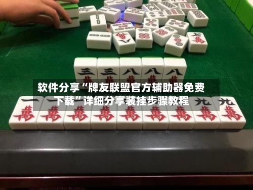 软件分享“牌友联盟官方辅助器免费下载”详细分享装挂步骤教程-第3张图片