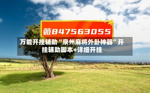 万能开挂辅助“泉州麻将外卦神器”开挂辅助脚本+详细开挂-第2张图片