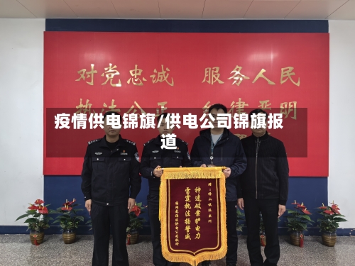 疫情供电锦旗/供电公司锦旗报道