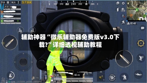 辅助神器“微乐辅助器免费版v3.0下载?”详细透视辅助教程-第2张图片