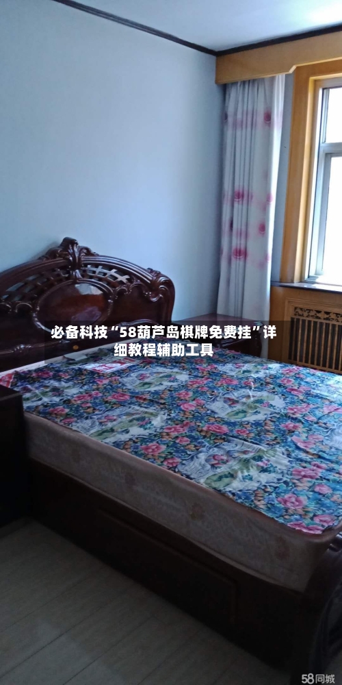 必备科技“58葫芦岛棋牌免费挂”详细教程辅助工具-第2张图片