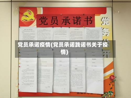 党员承诺疫情(党员承诺践诺书关于疫情)-第3张图片