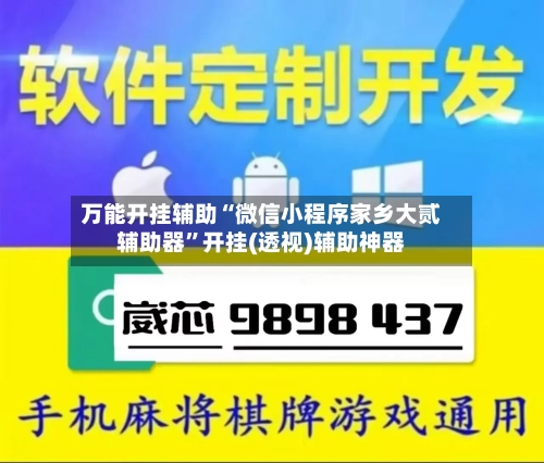 万能开挂辅助“微信小程序家乡大贰辅助器	”开挂(透视)辅助神器-第2张图片