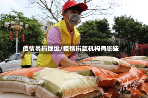 疫情募捐地址/疫情捐款机构有哪些