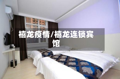 禧龙疫情/禧龙连锁宾馆-第2张图片