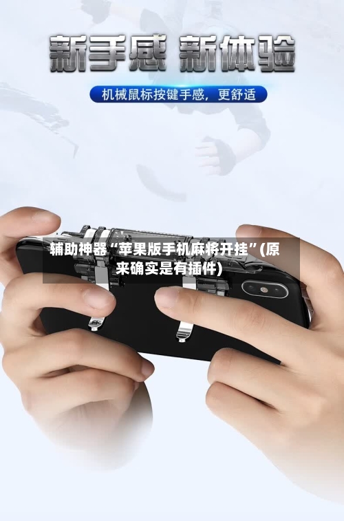 辅助神器“苹果版手机麻将开挂”(原来确实是有插件)