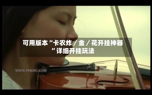 可用版本“卡农炸／金／花开挂神器”详细开挂玩法