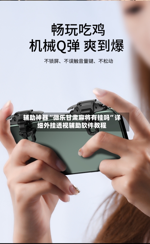 辅助神器“微乐甘肃麻将有挂吗”详细外挂透视辅助软件教程