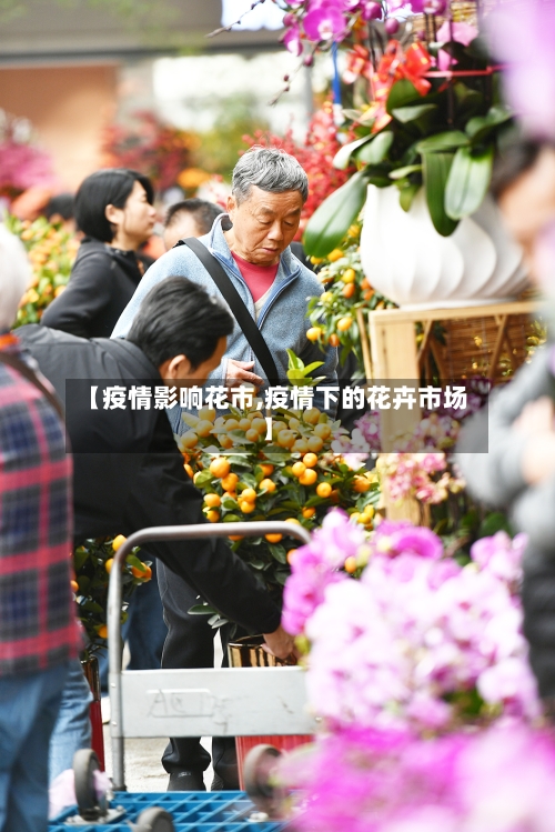 【疫情影响花市,疫情下的花卉市场】