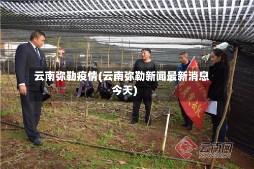 云南弥勒疫情(云南弥勒新闻最新消息今天)-第3张图片