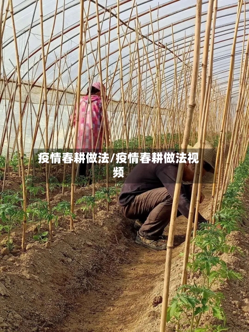 疫情春耕做法/疫情春耕做法视频-第1张图片