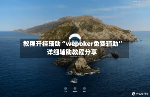教程开挂辅助“wepoker免费辅助	”详细辅助教程分享-第3张图片