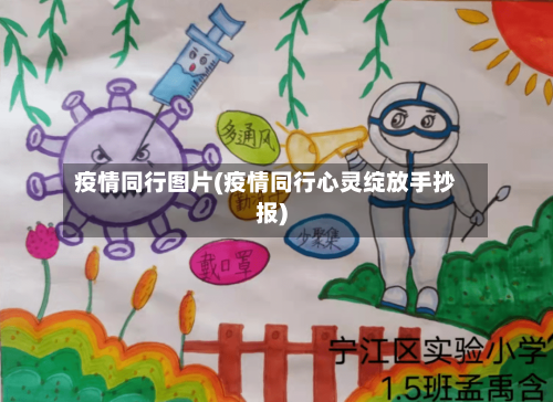 疫情同行图片(疫情同行心灵绽放手抄报)