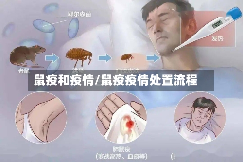 鼠疫和疫情/鼠疫疫情处置流程