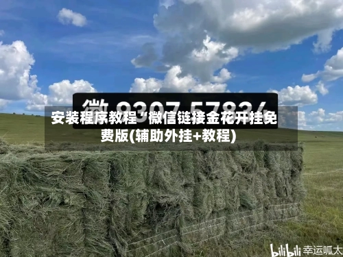 安装程序教程“微信链接金花开挂免费版(辅助外挂+教程)-第1张图片