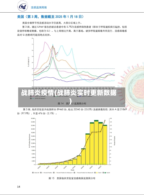 战肺炎疫情(战肺炎实时更新数据)