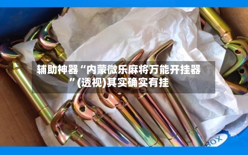 辅助神器“内蒙微乐麻将万能开挂器”(透视)其实确实有挂-第2张图片