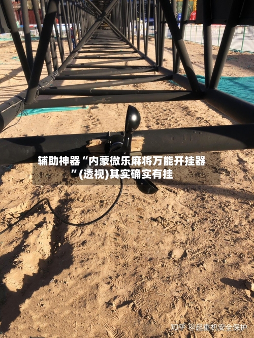 辅助神器“内蒙微乐麻将万能开挂器”(透视)其实确实有挂
