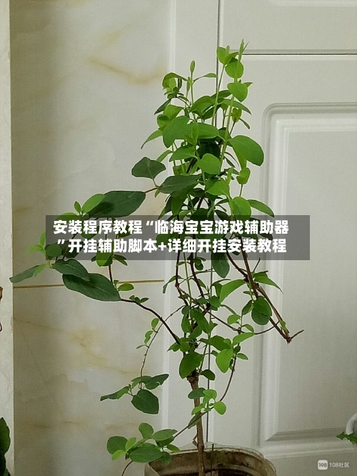 安装程序教程“临海宝宝游戏辅助器”开挂辅助脚本+详细开挂安装教程