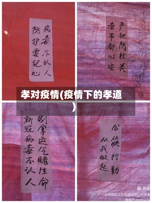 孝对疫情(疫情下的孝道)-第2张图片
