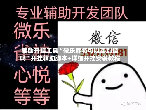 辅助开挂工具“微乐麻将可以买到挂吗”开挂辅助脚本+详细开挂安装教程