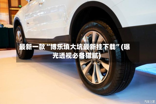 最新一款“博乐填大坑最新挂下载”(曝光透视必备猫腻)-第1张图片