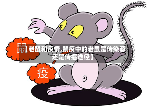 【老鼠和疫情,鼠疫中的老鼠是传染源还是传播途径】-第3张图片