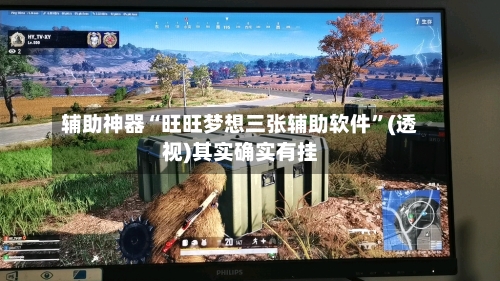 辅助神器“旺旺梦想三张辅助软件”(透视)其实确实有挂