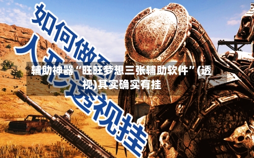 辅助神器“旺旺梦想三张辅助软件”(透视)其实确实有挂-第2张图片