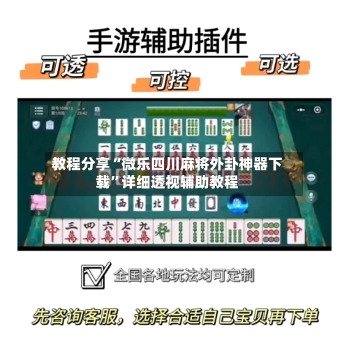 教程分享“微乐四川麻将外卦神器下载	”详细透视辅助教程-第2张图片
