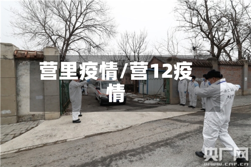 营里疫情/营12疫情-第2张图片