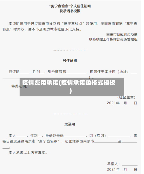 疫情费用承诺(疫情承诺函格式模板)
